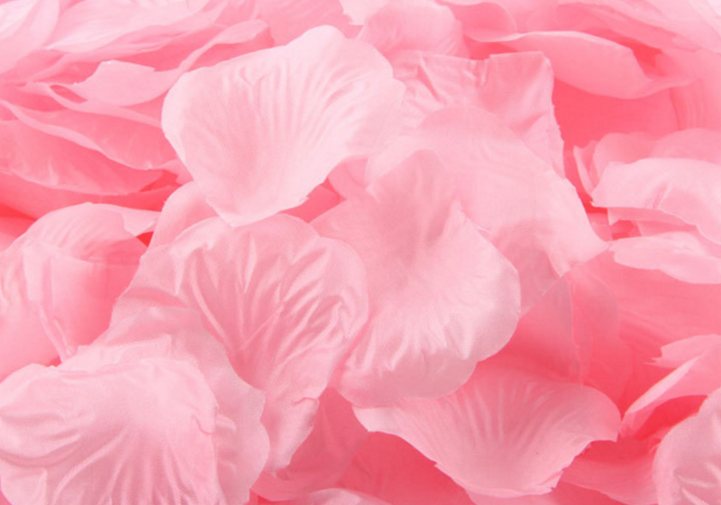 Silk Rose Petals-001