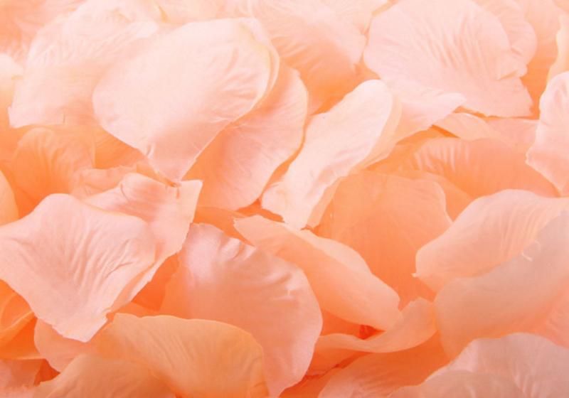 Silk Rose Petals-002