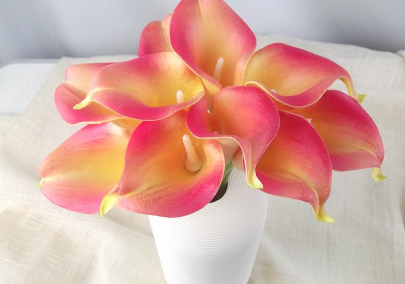 Calla Lily Flower-003