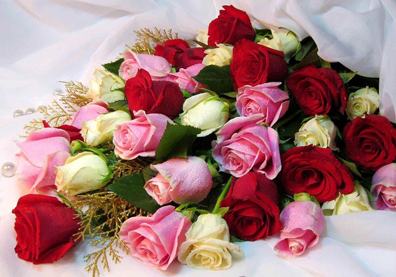 Rose Bouquets-008