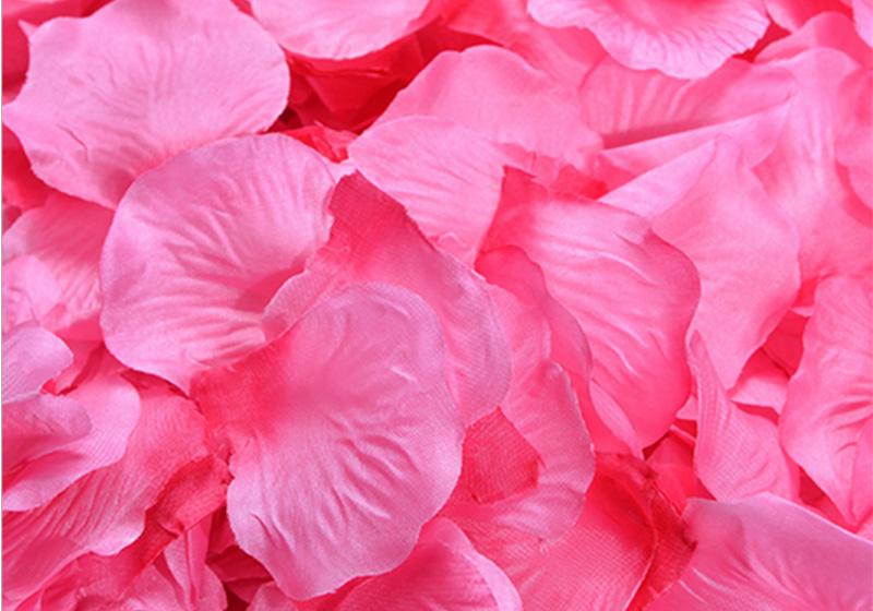 Silk Rose Petals-006