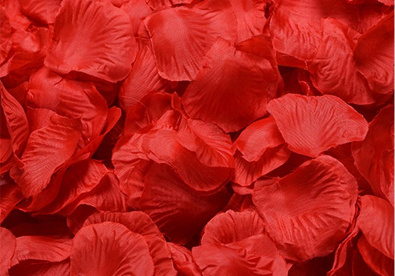 Silk Rose Petals-008