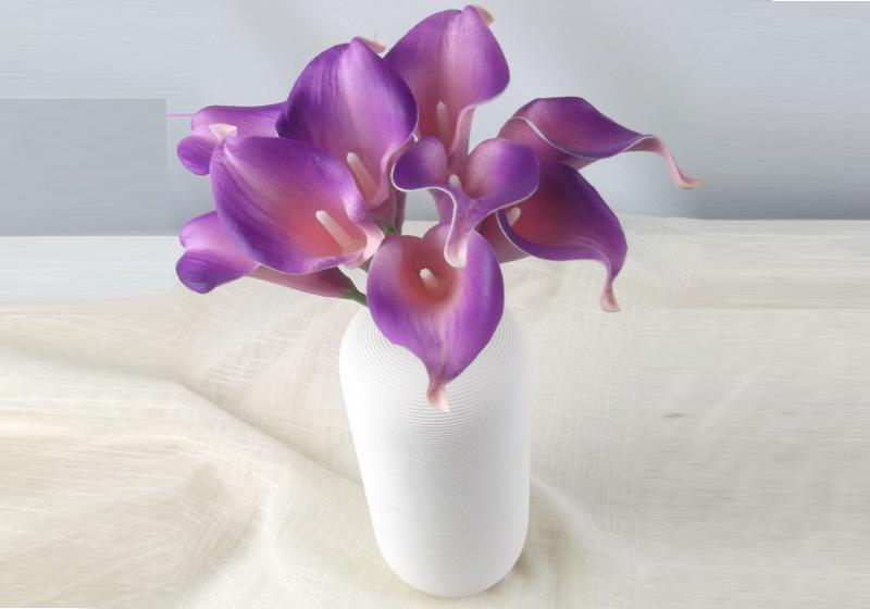 Calla Lily Flower-006