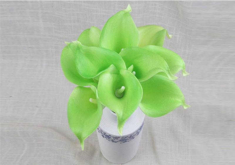 Calla Lily Flower-007