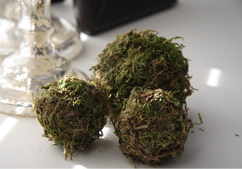 Moss Balls-002