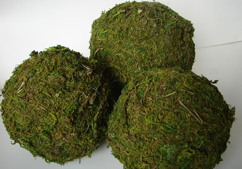 Moss Balls-003