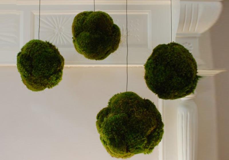 Moss Balls-004