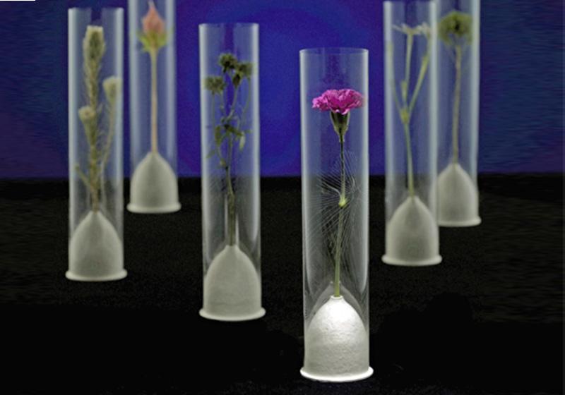 Floral Water Tubes-002