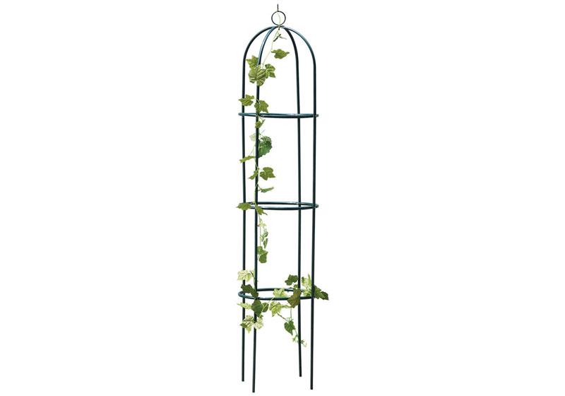  Plant Climbing Frame-001