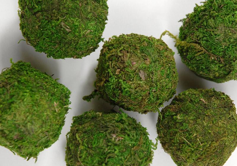 Moss Balls-011