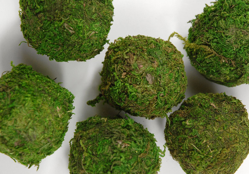 mossballs download