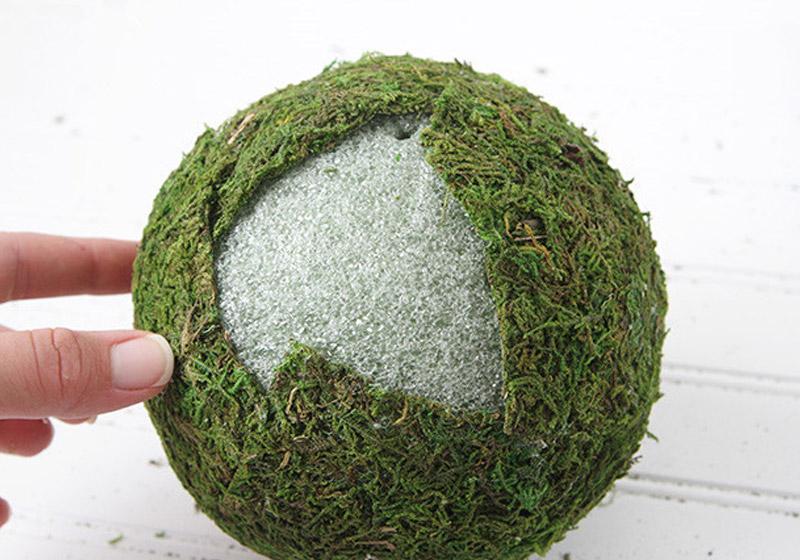 Moss Balls-012