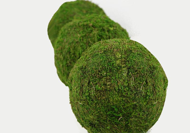 Moss Balls-014