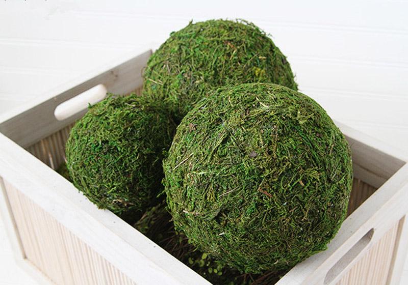 Moss Balls-015