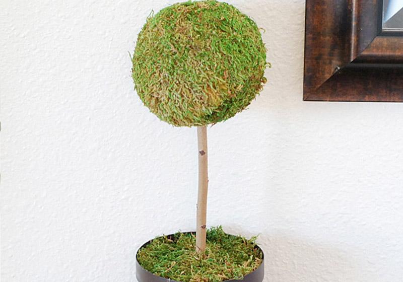 Moss Balls-016