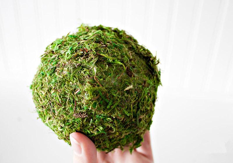 Moss Balls-017