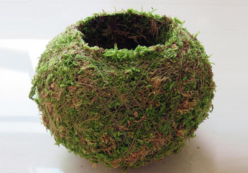 Moss Balls-018