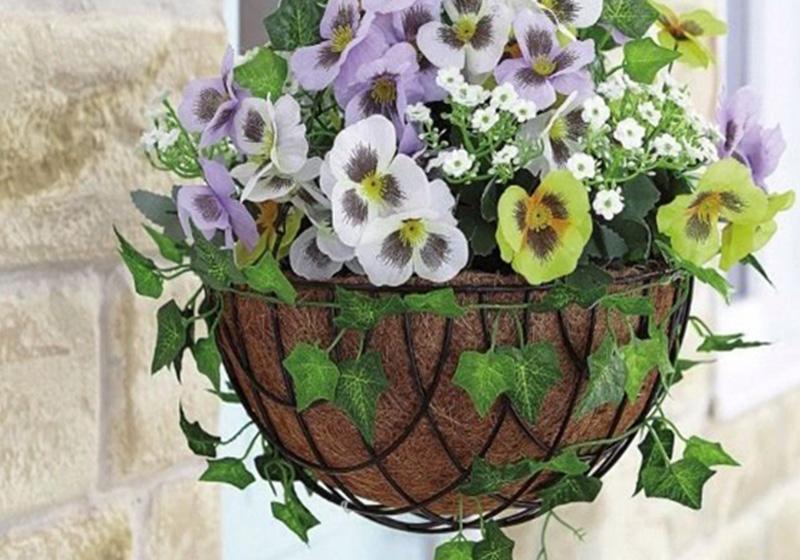 Hanging Basket-0019