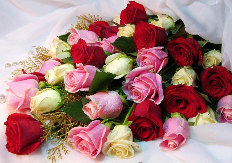Rose Bouquets-014