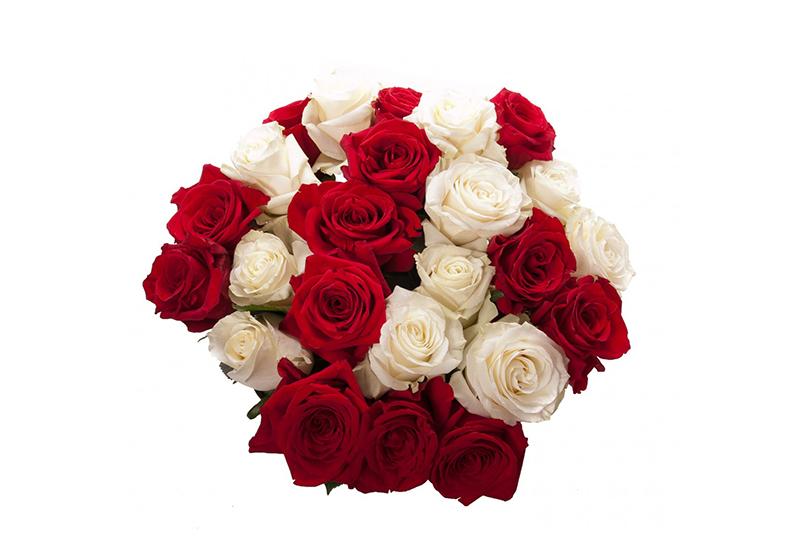 Rose Bouquets-021