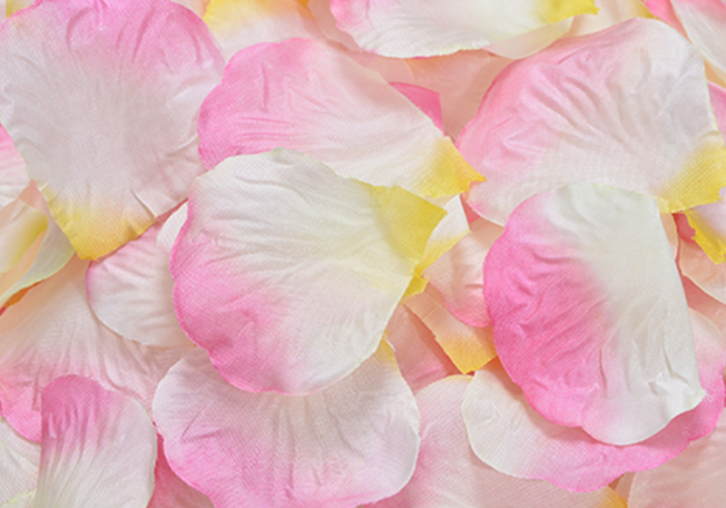 Silk Rose Petals-012