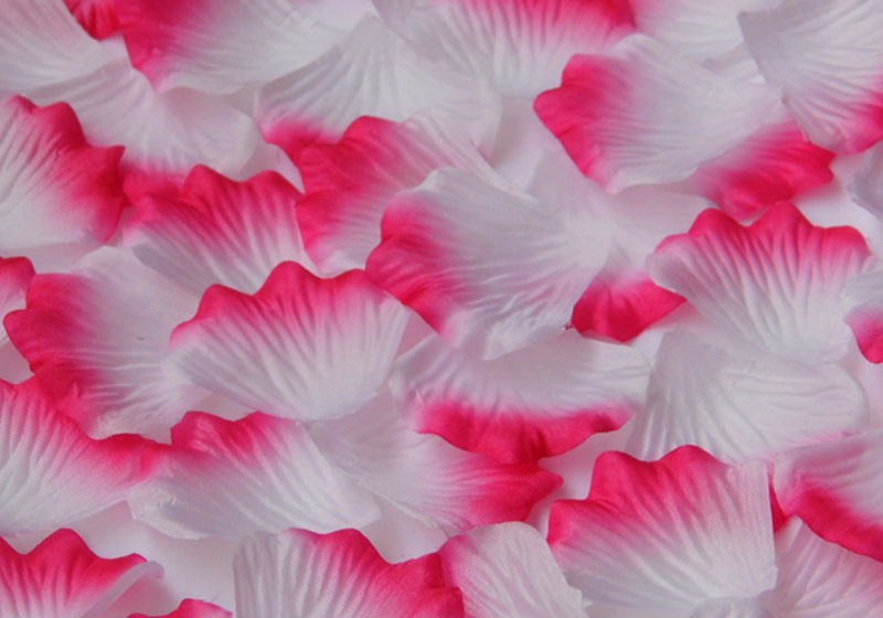 Silk Rose Petals-013
