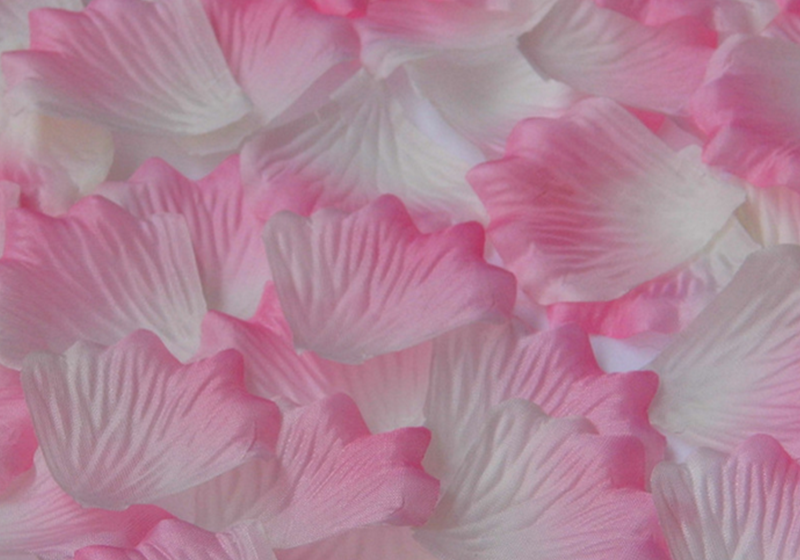 Silk Rose Petals-014